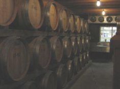Wine casks stacked 3 high in long rows