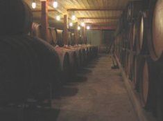 Wine casks stacked 3 high in long rows