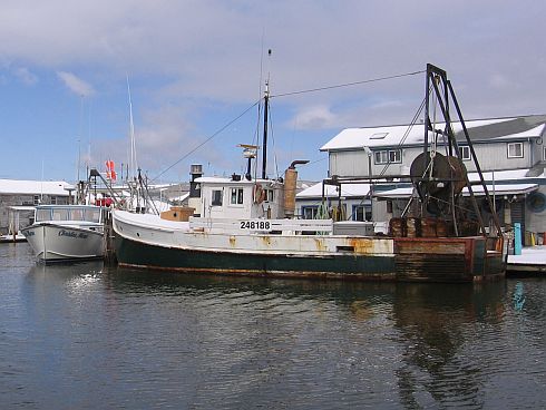 fishing boats