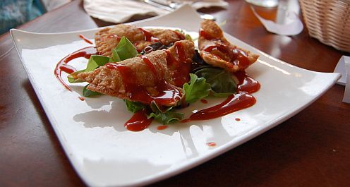 fried wonton appetizer