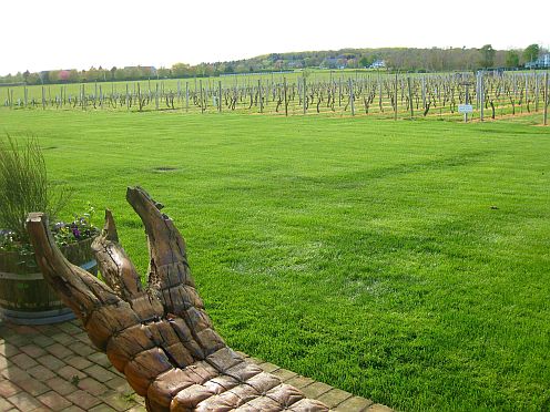 Sculpted bench