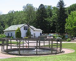 Fish hatchery