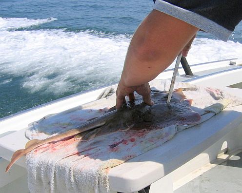 cleaning a skate