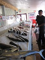 a display of fresh finfish for sale