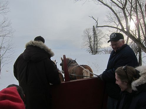 a horse drawn sleigh