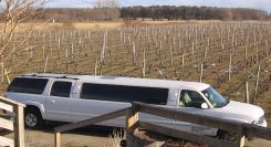 A limo parked in a vineyard