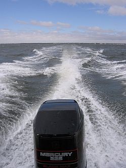 outboard motor