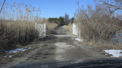 The entrance to Loughlin Vineyards