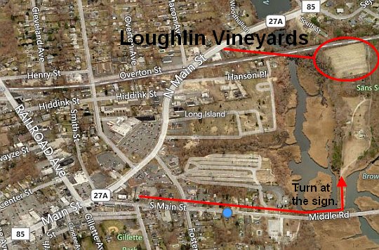 Bird's eye view of Loughlin Vineyards