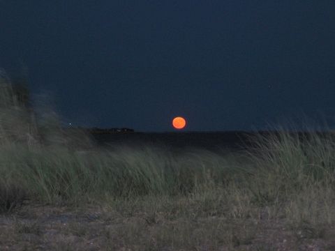 A moon rising