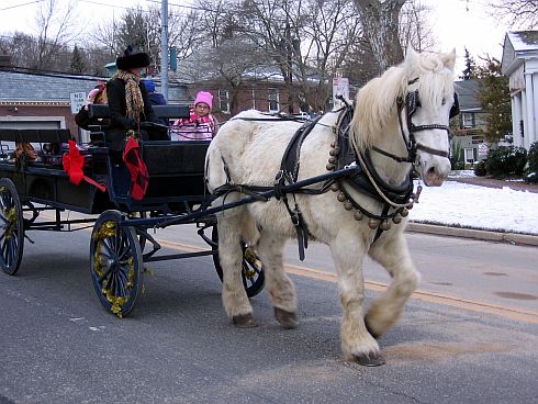 horse drawn carriage