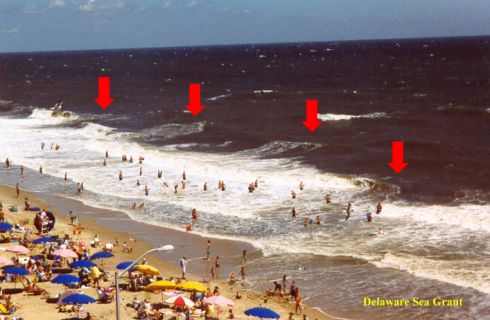 Multiple rip currents
