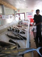 Fish Market