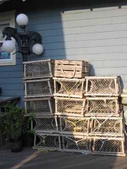 Fish traps