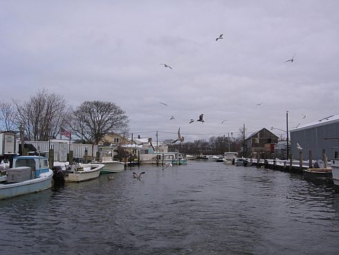 Seagulls following a boat