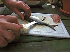 filleting the snapper
