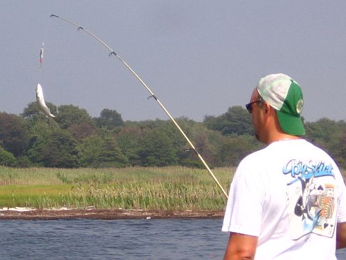 A snapper on the line