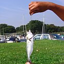 man holding a fish