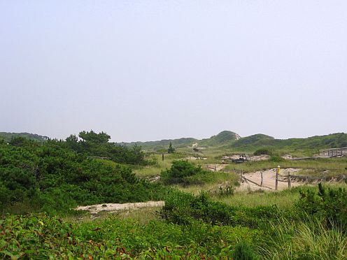 between the dunes