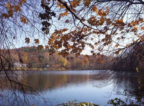 Lake and trees